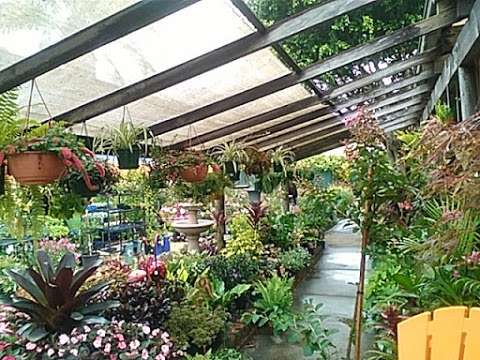 Photo: Burbank House & Garden Plant Nursey